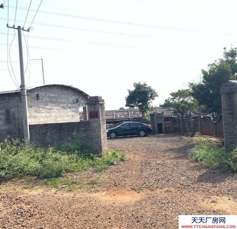 (出租) 湛江有三相電，水井，宿舍，倉(cāng)庫(kù)，還有2千平方空地