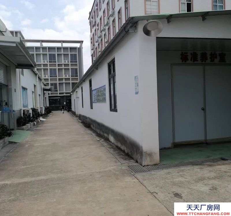 (出租) 廠面積3160平方米，倉(cāng)庫(kù)面積1000平方米，辦公樓五層