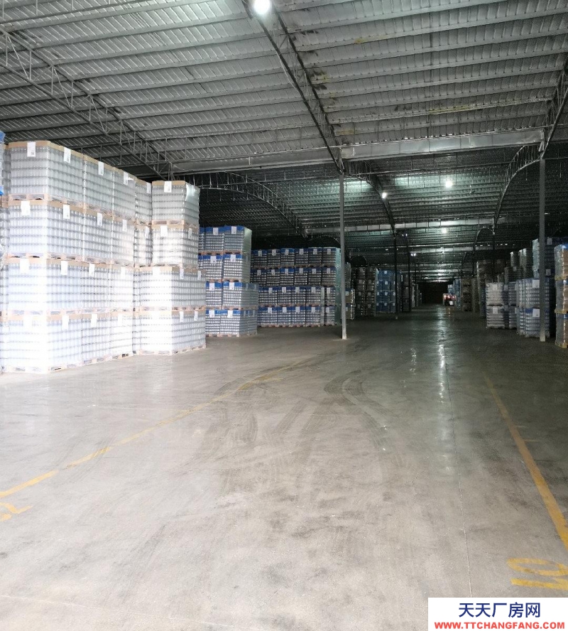 (出租) 在疏港大道旁，離湛江高鐵西站3公里，380V電源。