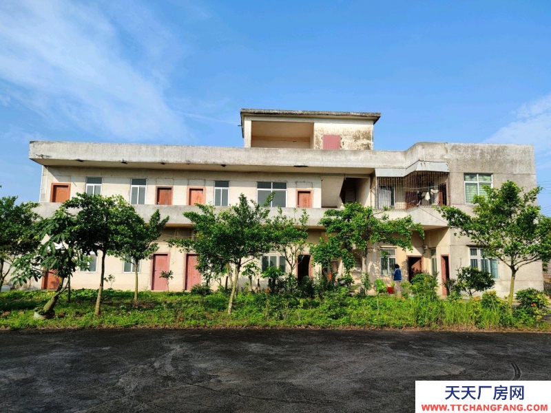 (出租) 2500多方可辦公生產商業等