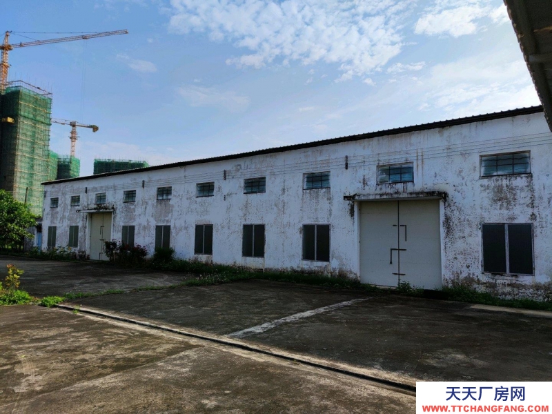 (出租) 2500多方可辦公生產商業等