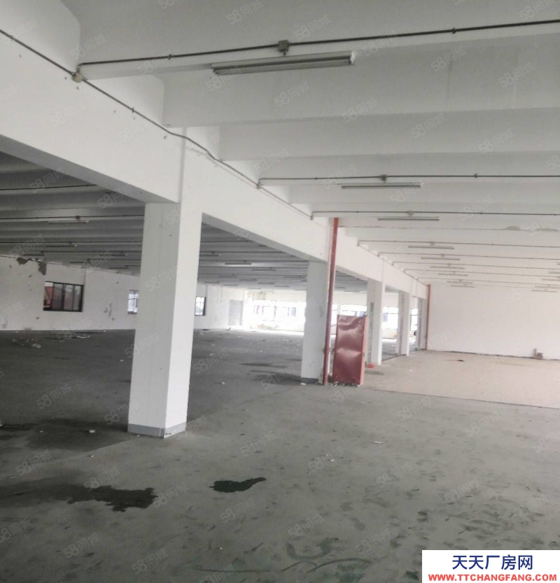 (出售) 出售長興南高速口25畝20000方標準廠房