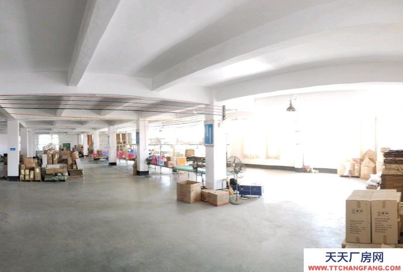 (出租) 湛江標準工業廠房工業園內