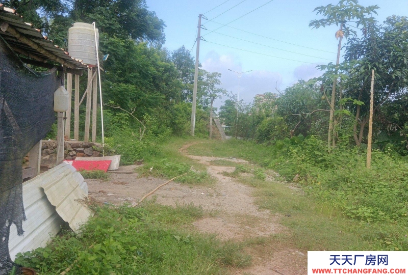 (出租) 就近有玉湛高速龍?zhí)寥肟冢〉?87路邊，肥佬貴果園飯店對(duì)面