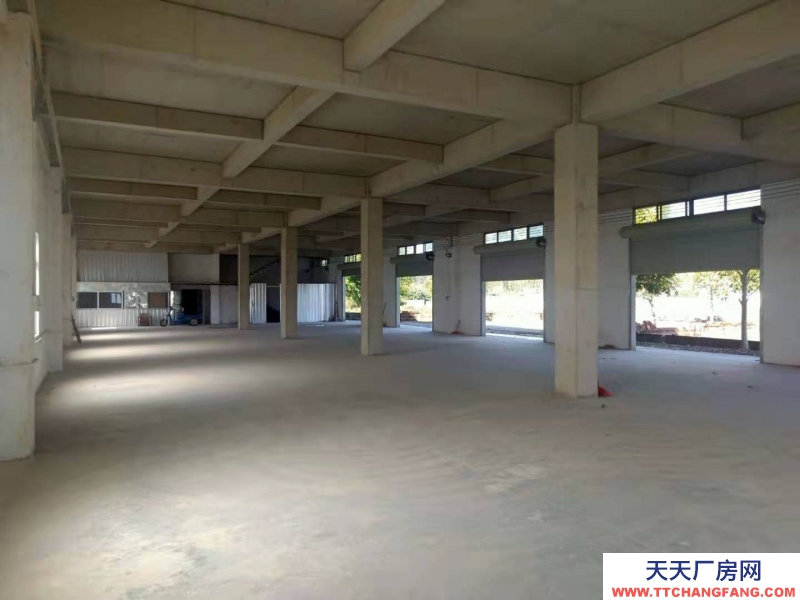 (出租) 湛江城南街道 廠房 800平米