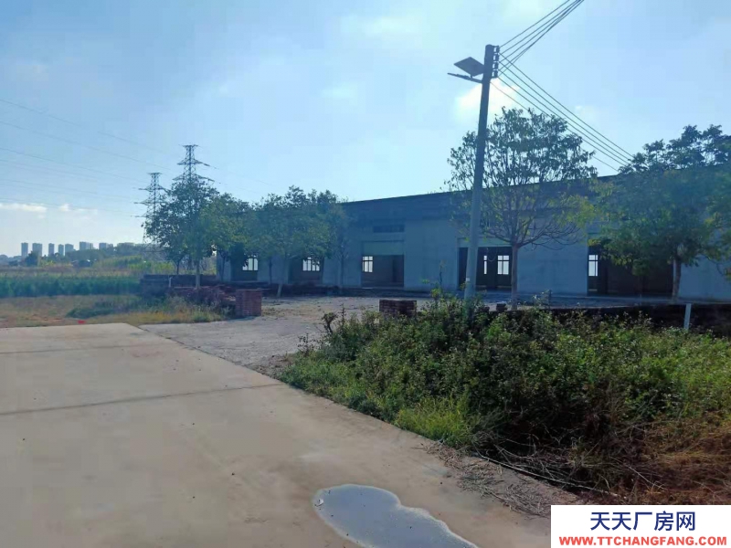 (出租) 湛江城南街道 廠房 800平米