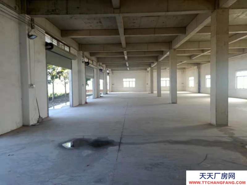 (出租) 湛江城南街道 廠房 800平米