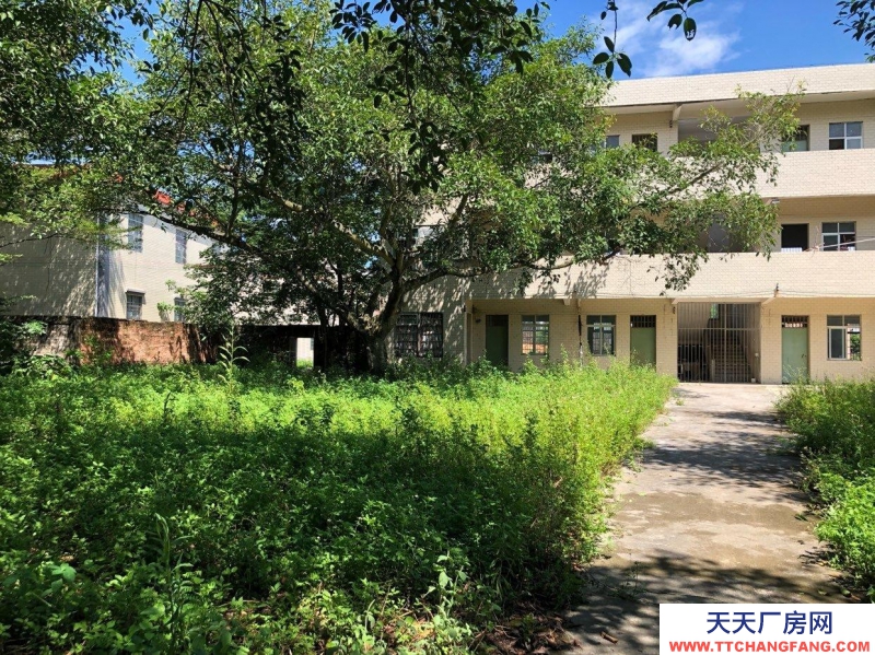 (出租) 湛江廠房、倉庫、辦法樓、宿舍招租