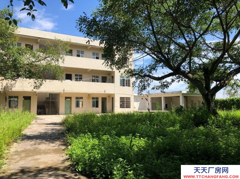 (出租) 湛江廠房、倉庫、辦法樓、宿舍招租