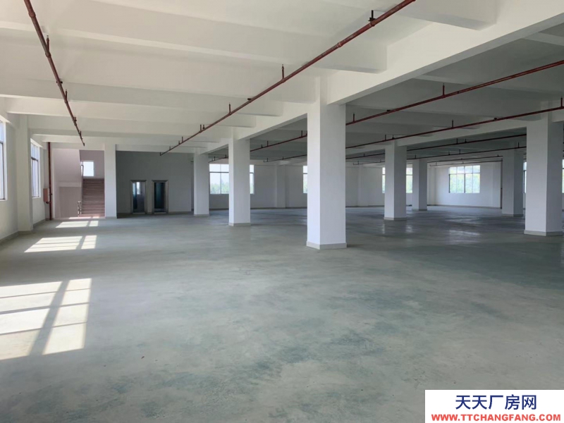 (出租) 湛江吳川大型廠房7500平方米,臨近高速路口和高鐵站,交通便利