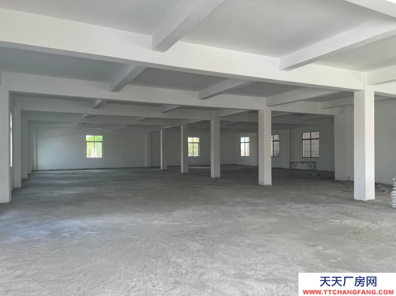 (出租) 湛江吳川吳川城區(qū)精裝廠房,倉庫,寫字樓1500方!