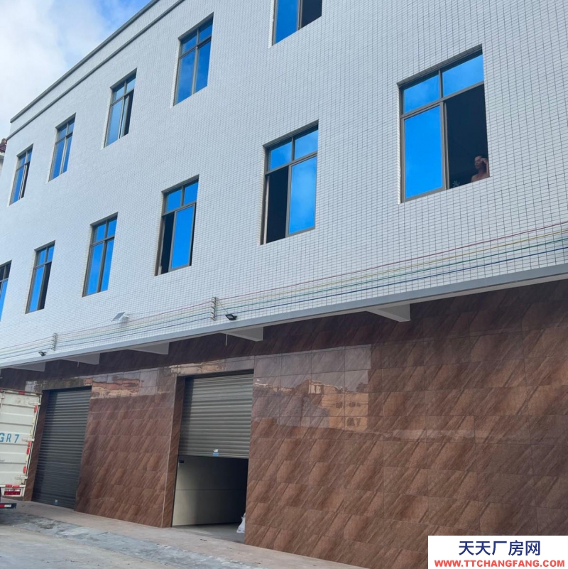 (出租) 湛江吳川吳川城區精裝廠房，倉庫，寫字樓1500方！