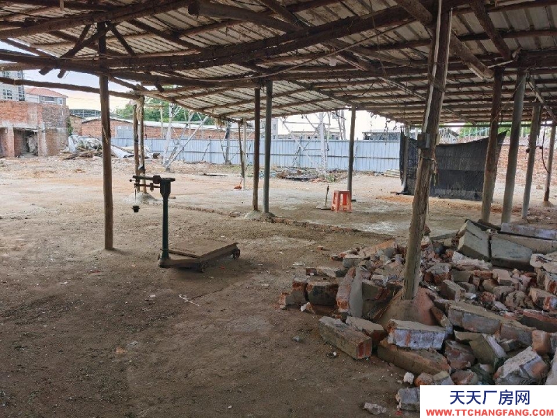 (出租) 湛江吳川四面有圍屏，有磚瓦房住宿及工作大棚，空地可堆放材料及產品