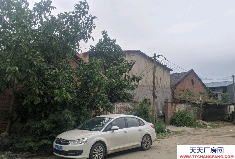 邢臺市 邢臺縣 (出租) 各種面積廠房/倉庫對外出租。水電路三通，交通便利。