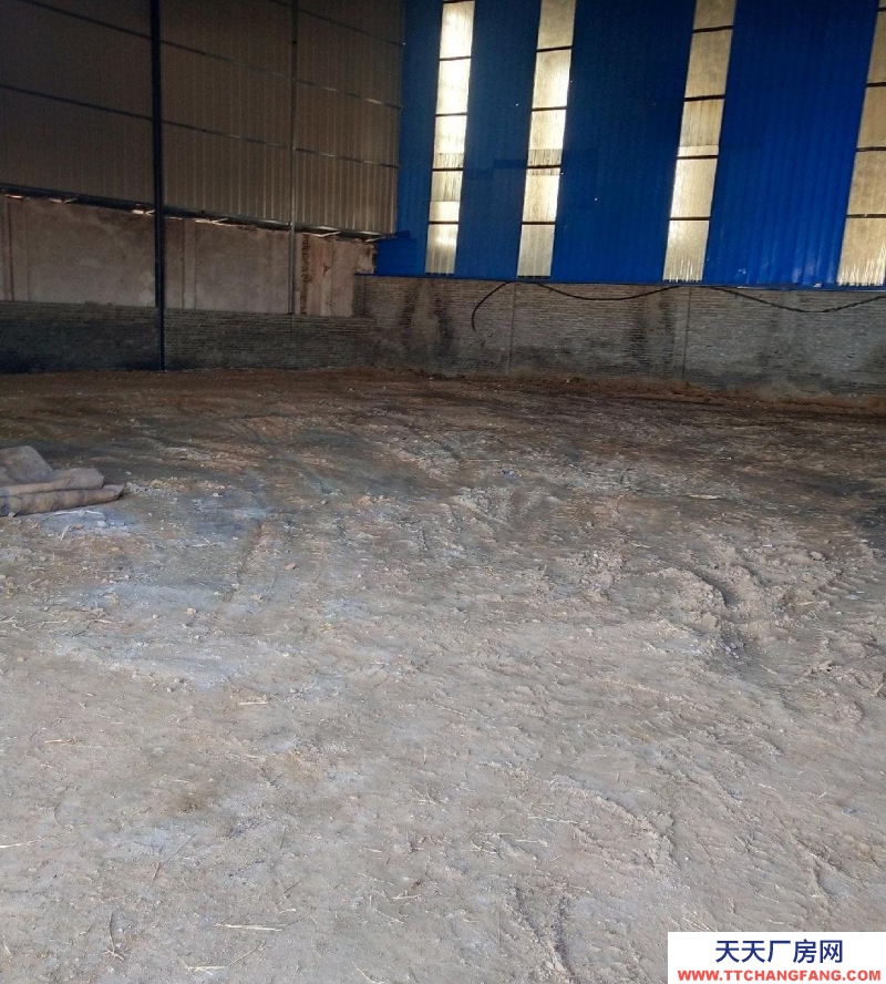 邢臺市 邢臺縣 (出租) 出租旭陽經濟開發區倉庫廠房