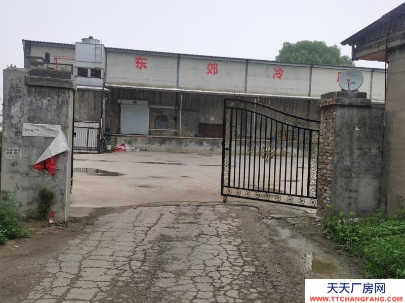 邢臺(tái)市 邢臺(tái)縣 (出租) 河北省邢臺(tái)市襄都區(qū)標(biāo)準(zhǔn)冷庫出租 個(gè)人冷庫