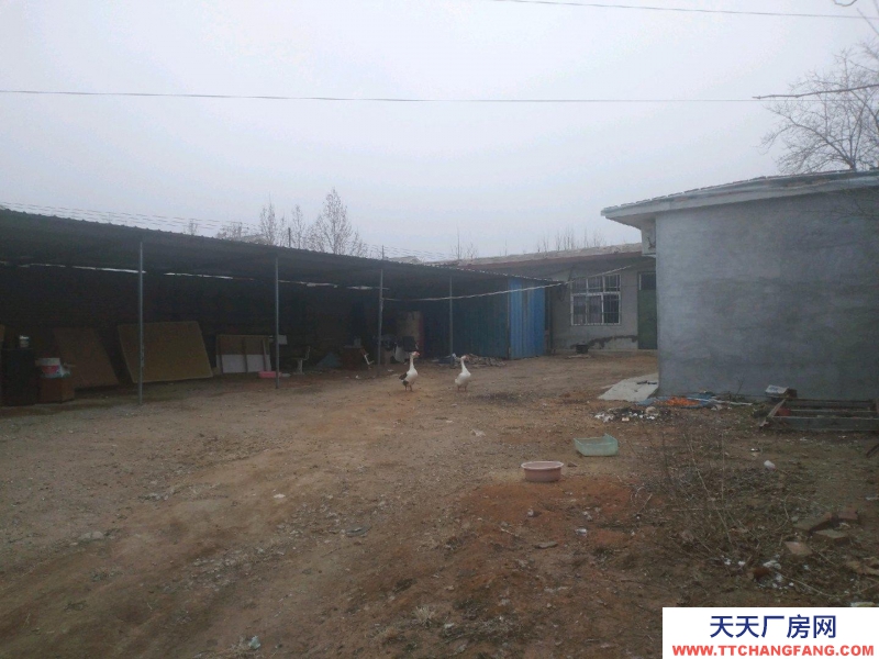 邢臺(tái)市 邢臺(tái)縣 (出租) 600平院子平房可做倉庫人