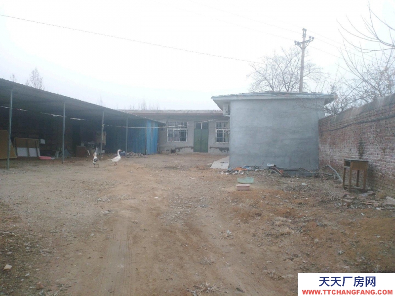 邢臺(tái)市 邢臺(tái)縣 (出租) 600平院子平房可做倉庫人