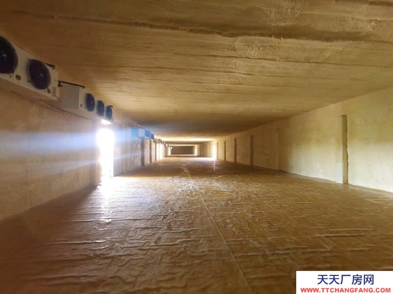 邢臺(tái)市 邢臺(tái)縣 (出租) 位于新興路與濱江路交叉口西行一公里路北，可整租，可分租