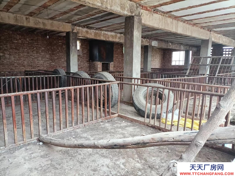 邢臺市  內丘 (出租) 350平方屋子 + 一畝地(667平方)院子