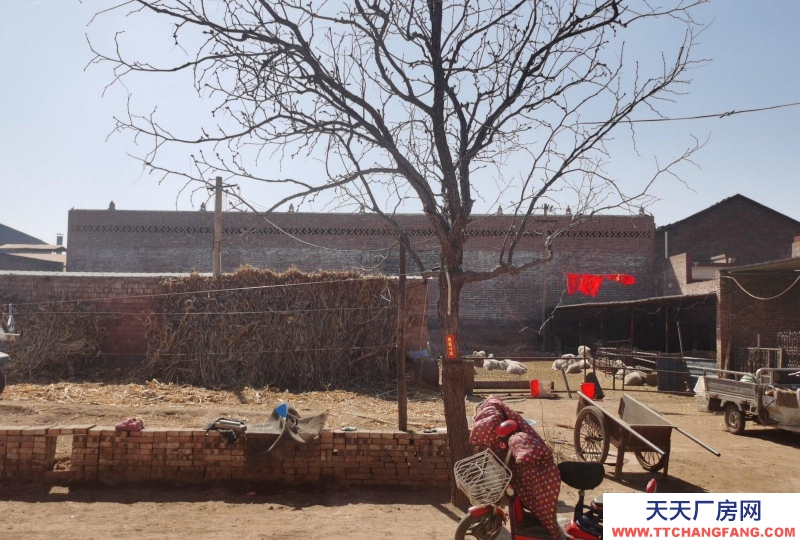 (出租) 旺廠出租，可以進(jìn)出大車輛