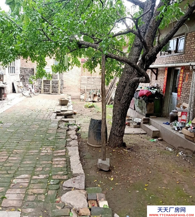 (出租) 北門坡附近整院出租，可改裝，適合美容，餐飲，診所等