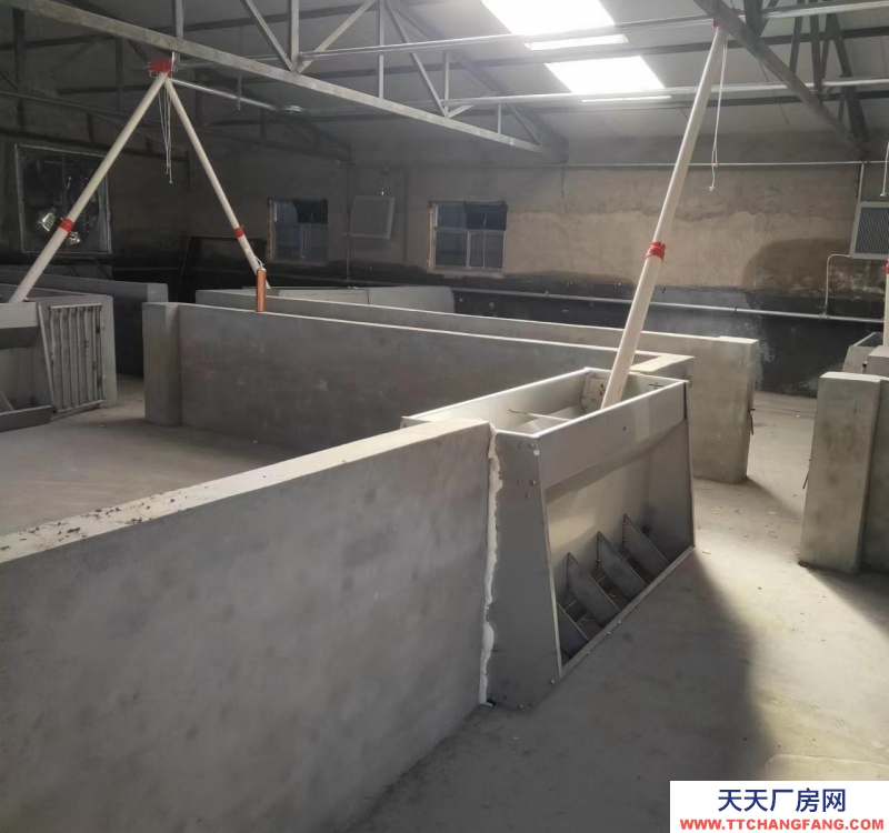 (出租) 豬舍出租，有意向的朋友可聯系