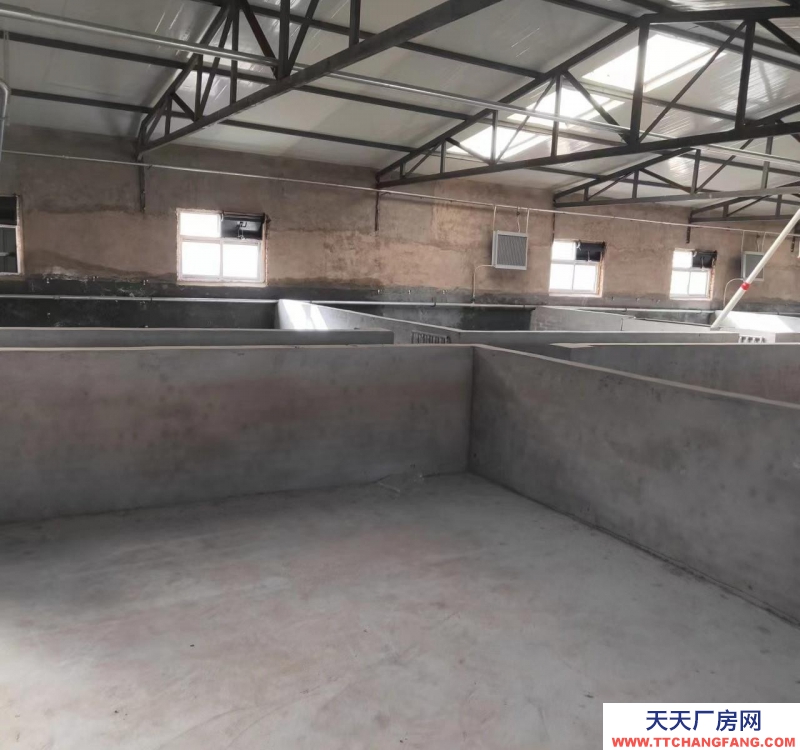 (出租) 豬舍出租，有意向的朋友可聯(lián)系