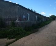 (出售) 急售農(nóng)村房屋和養(yǎng)豬場(chǎng)，位于朝陽(yáng)川三峰5隊(duì)，共1000平米多