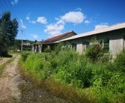 (出售) 急售農(nóng)村房屋和養(yǎng)豬場(chǎng),位于朝陽川三峰5隊(duì),共1000平米多