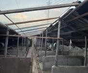 (出租) 延邊科技大學附近房屋出租。可做養狗圈