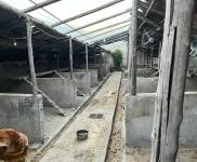 (出租) 延邊科技大學附近房屋出租。可做養狗圈