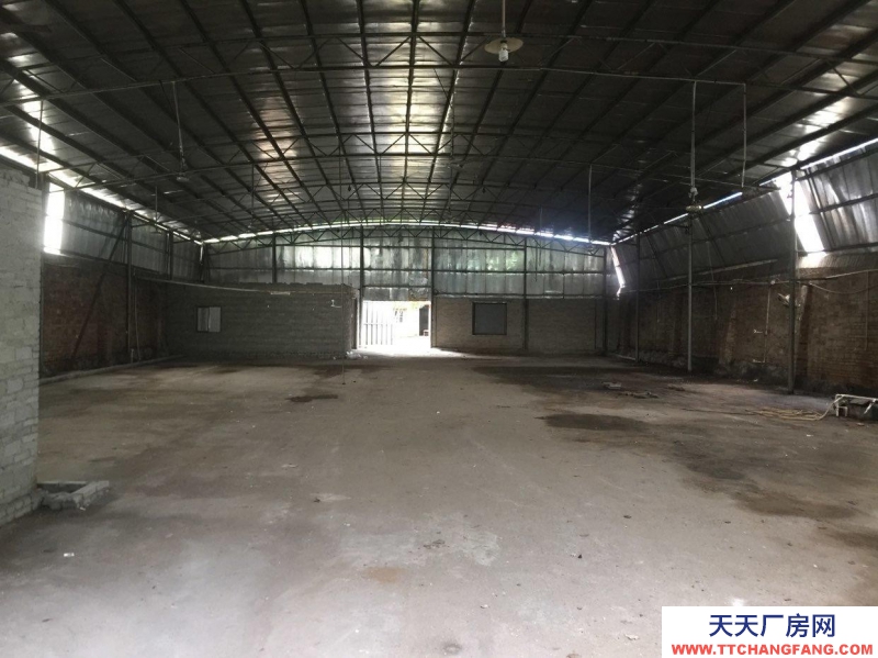 (出租) 湛江遂溪靠近國道，出入方便，水電齊全，水泥路面