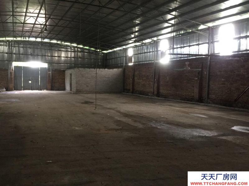 (出租) 湛江遂溪靠近國道，出入方便，水電齊全，水泥路面