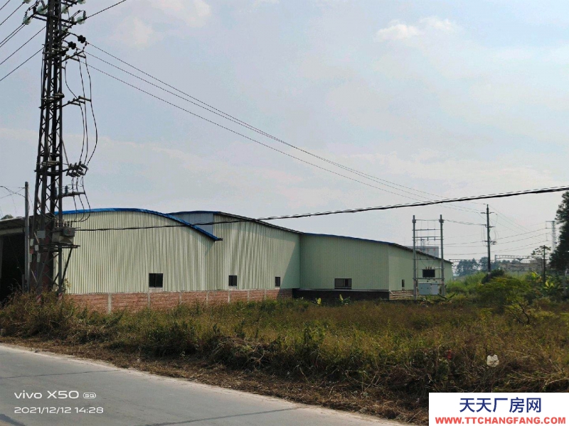 (出租) 湛江遂溪688縣道旁黃略鎮海螺水泥廠旁邊大型倉庫