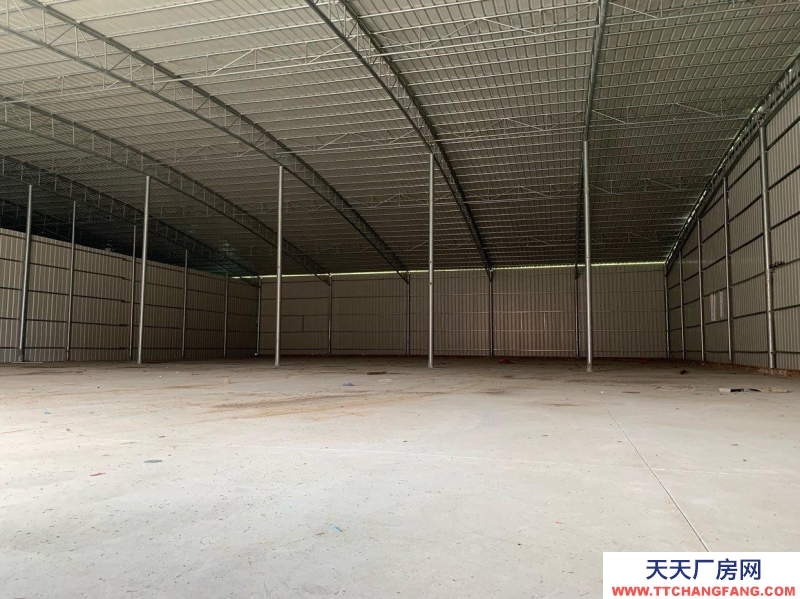 (出租) 湛江遂溪全新廠房，價格實惠！