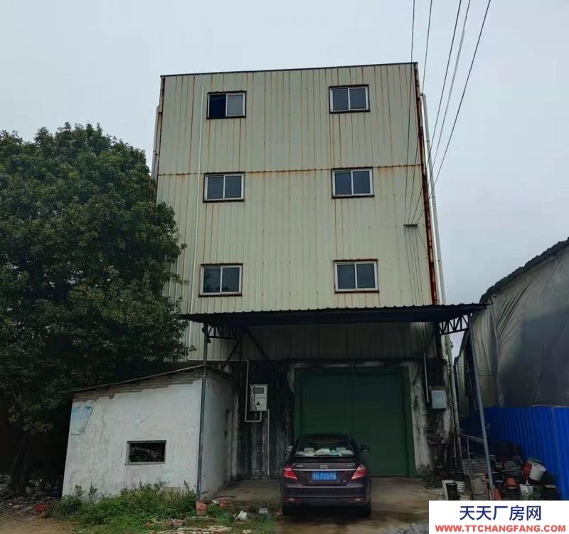 (出租) 出租遂溪城區倉庫1532平方有貨梯