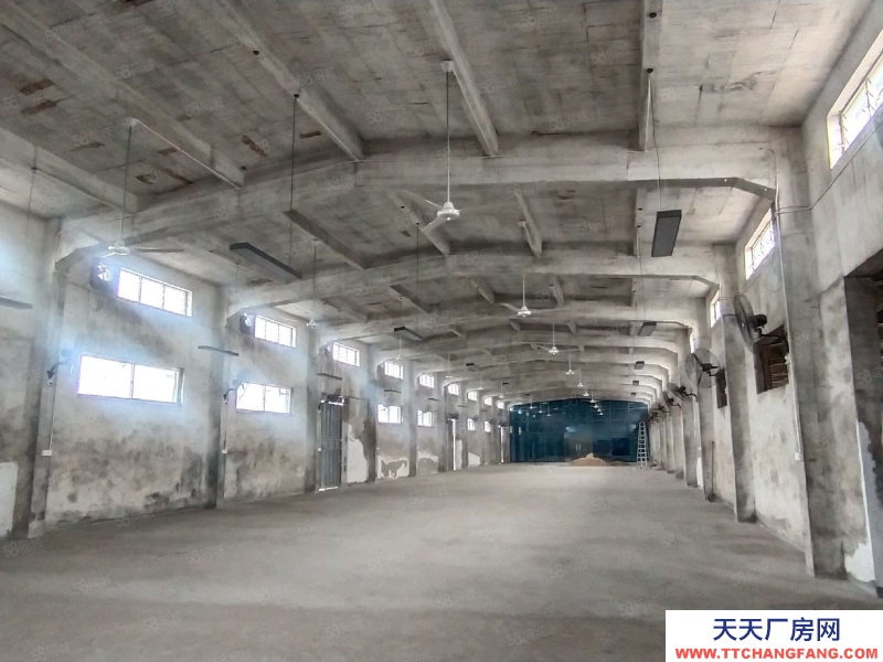 (出租) 茂名油城路獨院廠房出租 3000方也可做倉庫 層高6米 拖頭可入