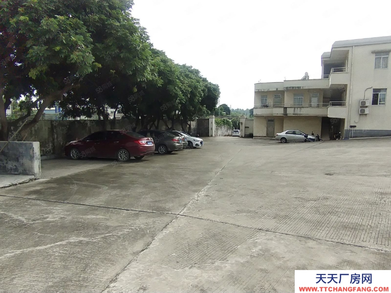 (出租) 茂名油城路獨院廠房出租 3000方也可做倉庫 層高6米 拖頭可入