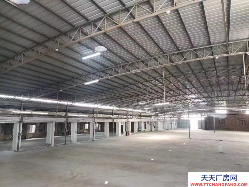 (出租) 茂名新租！2500平方獨門獨院廠房倉庫