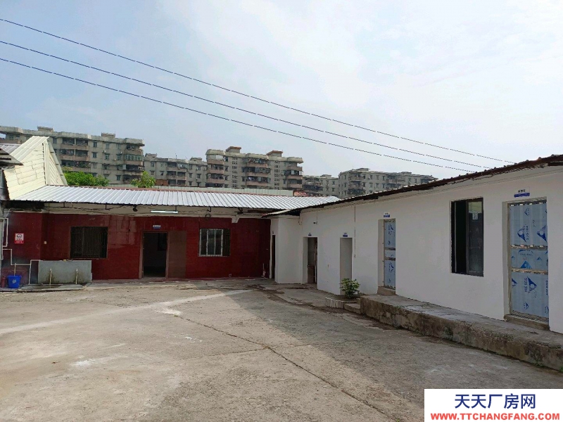 (出租) 茂名市區約2500方廠房倉庫出租