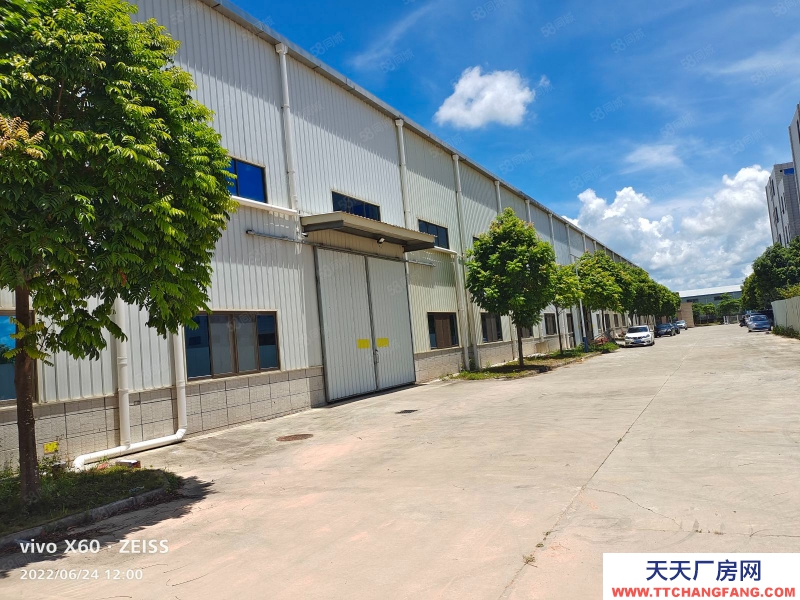 (出租) 茂名電白區反哺工業園8000平方輕鋼廠房倉庫出租，每平方14元