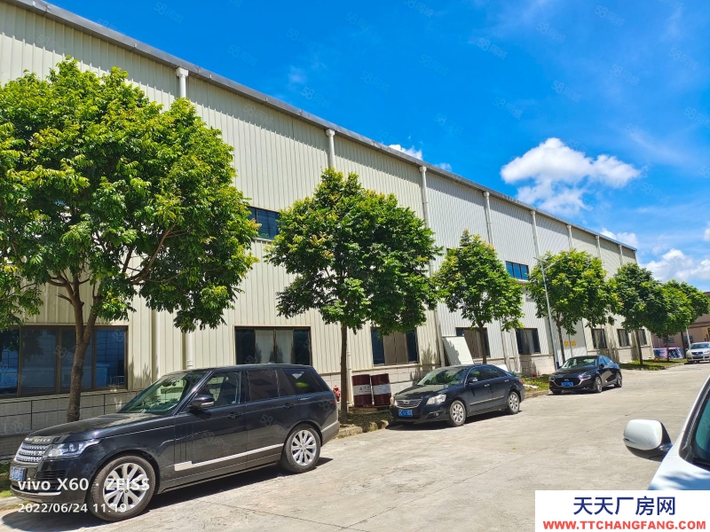 (出租) 茂名電白區(qū)反哺工業(yè)園8000平方輕鋼廠房倉庫出租,每平方14元