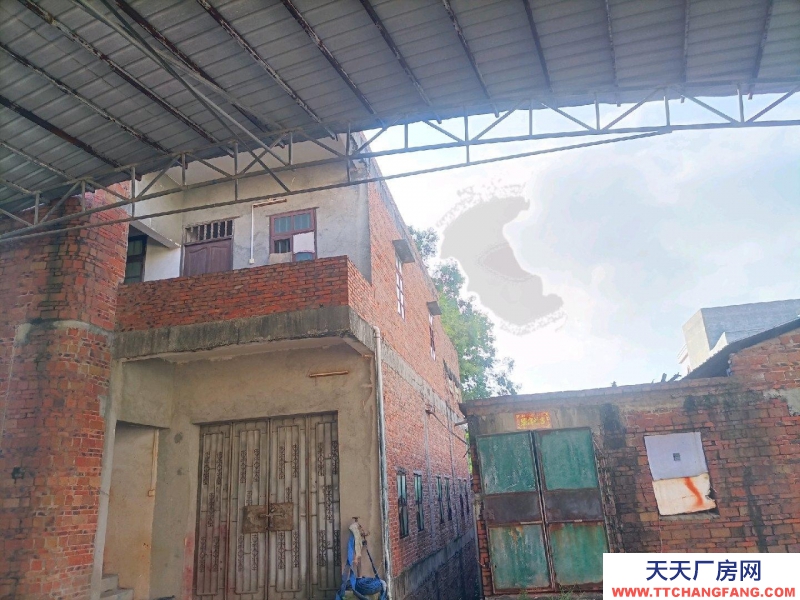 (出租) 茂名超低價獨立廠房，倉庫招租！