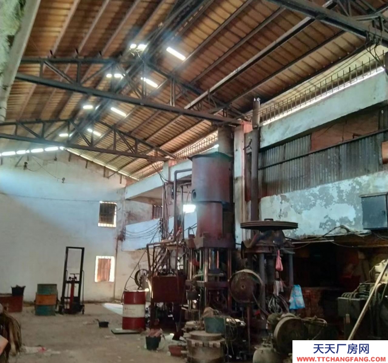 (出租) 茂名超低價獨立廠房，倉庫招租！