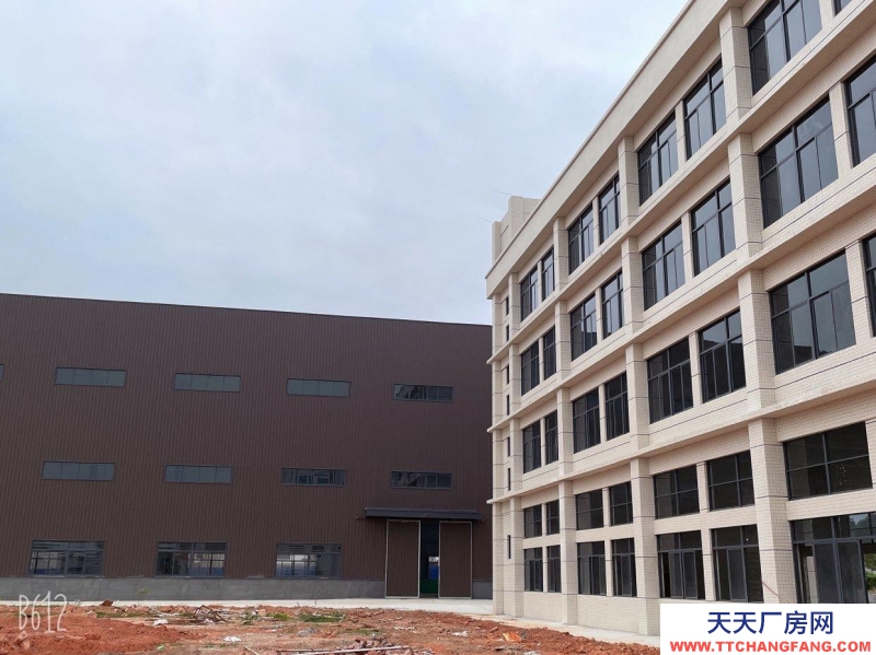 (出租) 茂名電白可做倉庫、廠房、辦公等。