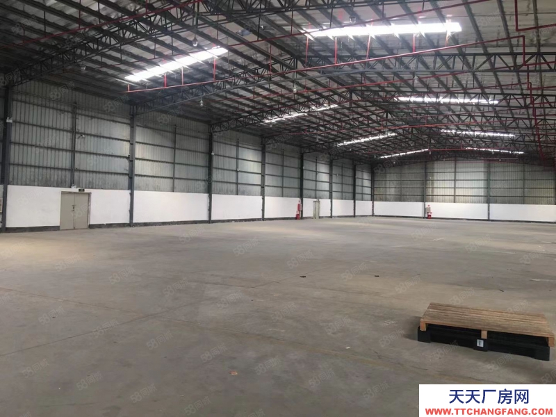 (出租) 惠城區下角附近新建單層鋼構9米高廠房4800平方出租