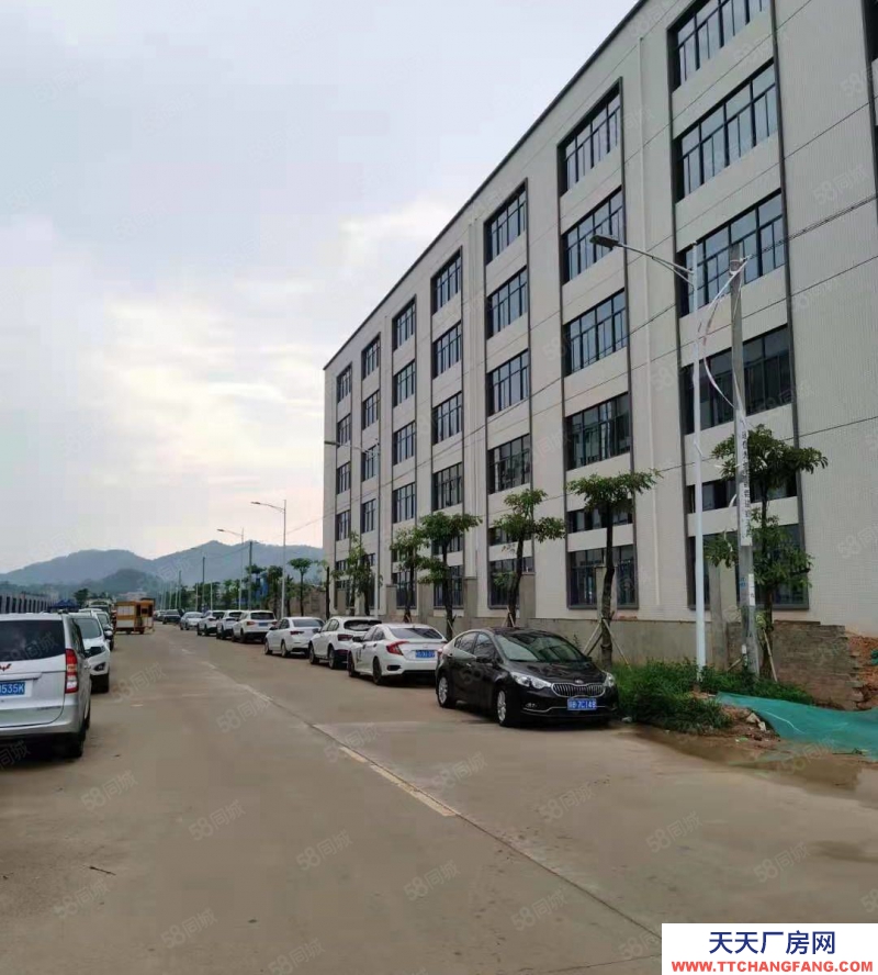 (出租) 馬安鎮新樂工業區標準廠房3層分租共5250平出租空地大可分