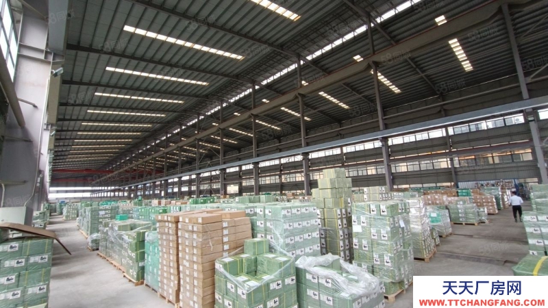 (出租) 惠陽區鎮隆鎮鎮滴水18米鋼構紅本廠房出租