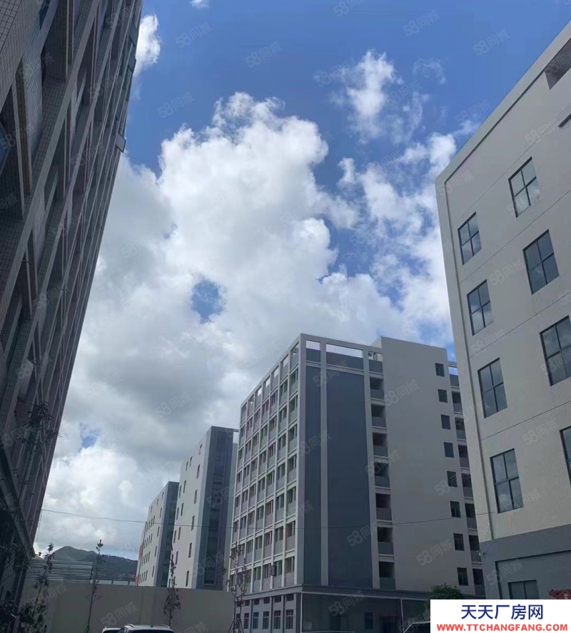 (出租) 20000m標準廠房招租(惠陽沙田)